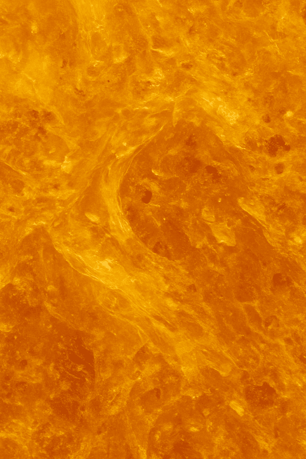 Tendências de Hospitalidade para 2025: O Retorno ao Essencial